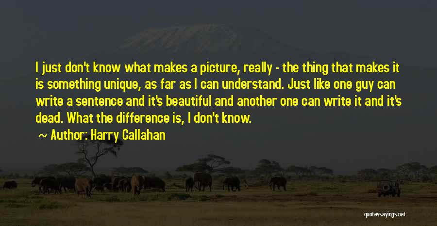 Harry Callahan Quotes 1824189