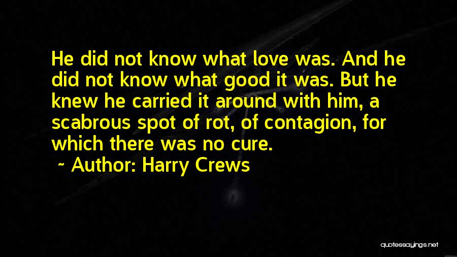 Harry Crews Quotes 115765