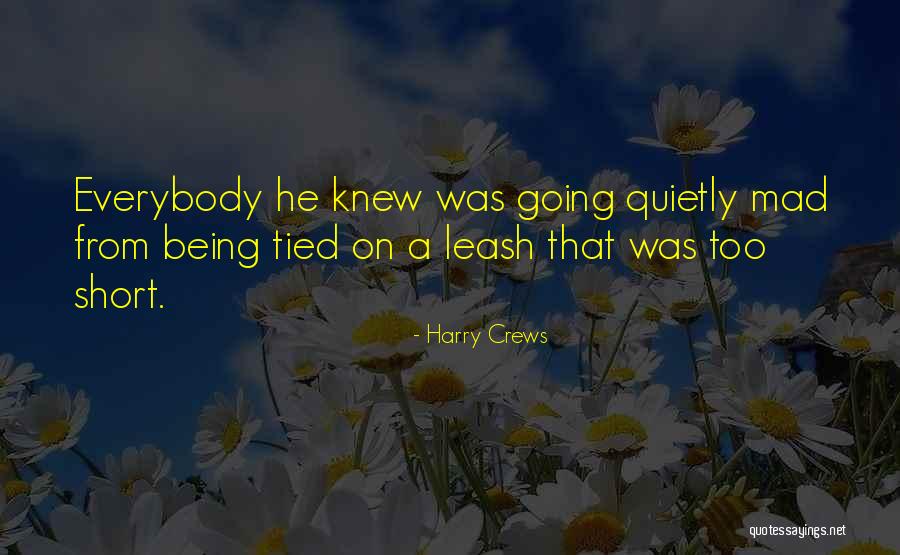 Harry Crews Quotes 1416733