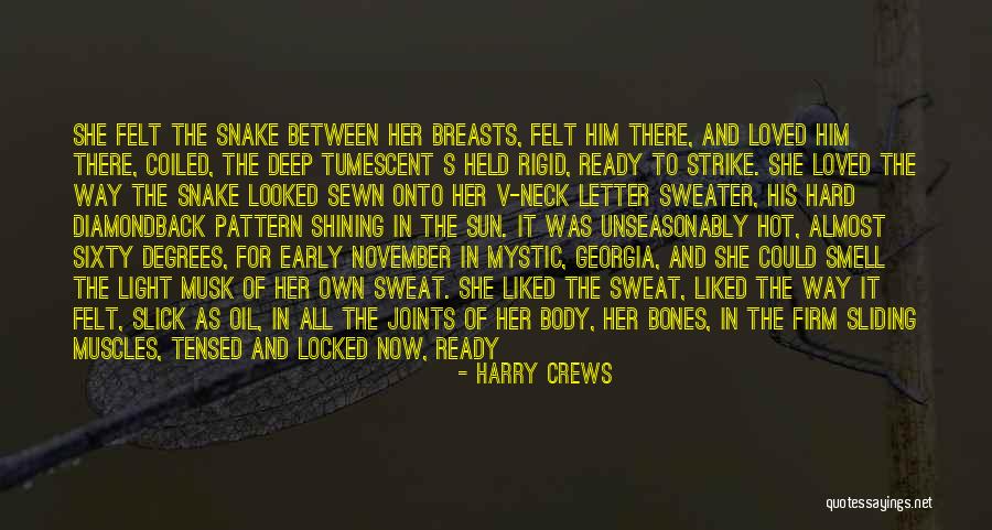 Harry Crews Quotes 271489