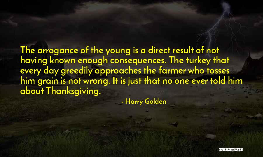 Harry Golden Quotes 1416188