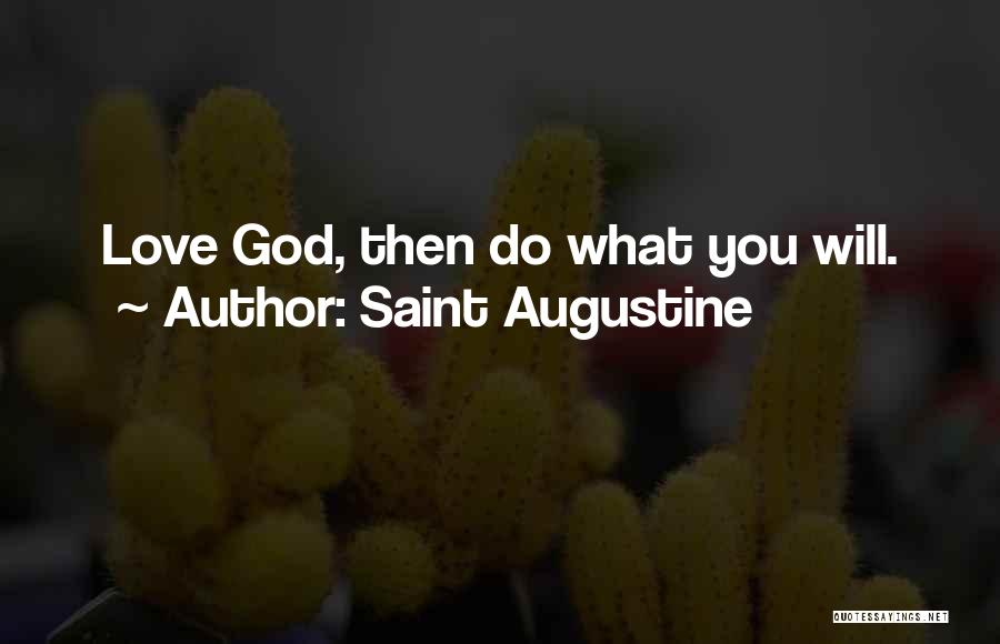 Harry Grout Quotes By Saint Augustine