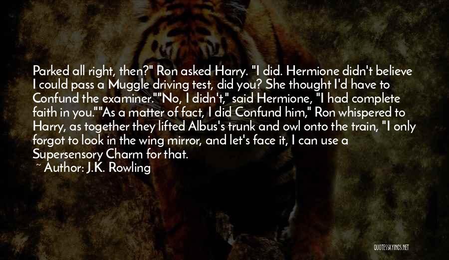 Harry Hermione Quotes By J.K. Rowling