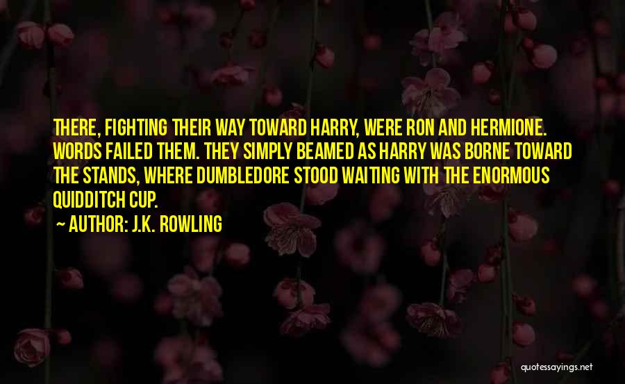 Harry Hermione Quotes By J.K. Rowling