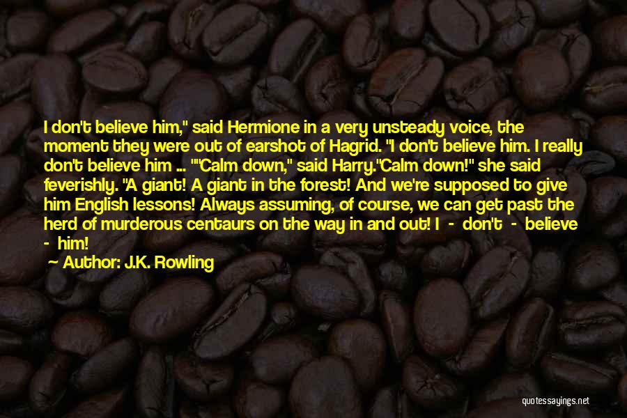 Harry Hermione Quotes By J.K. Rowling