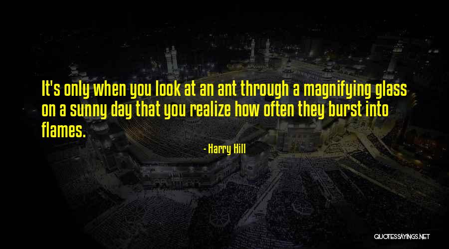 Harry Hill Quotes 984006 Harry Hill Quotes 984006