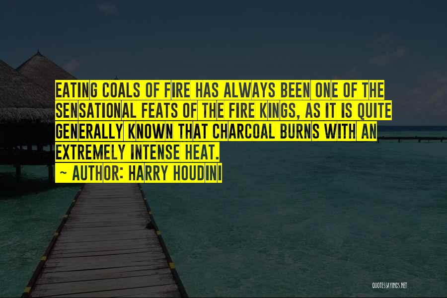 Harry Houdini Quotes 412109