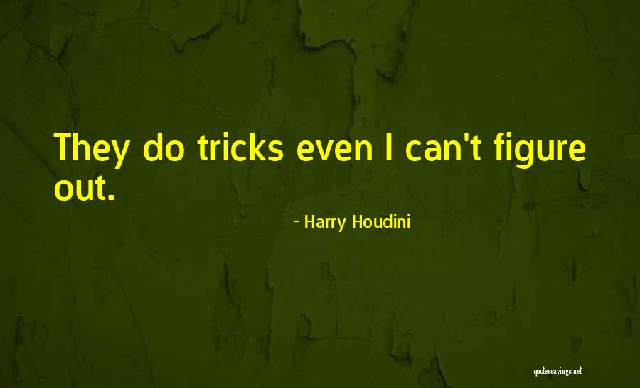 Harry Houdini Quotes 517089