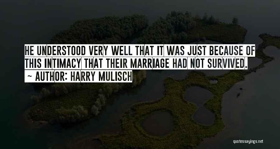 Harry Mulisch Quotes 1264824