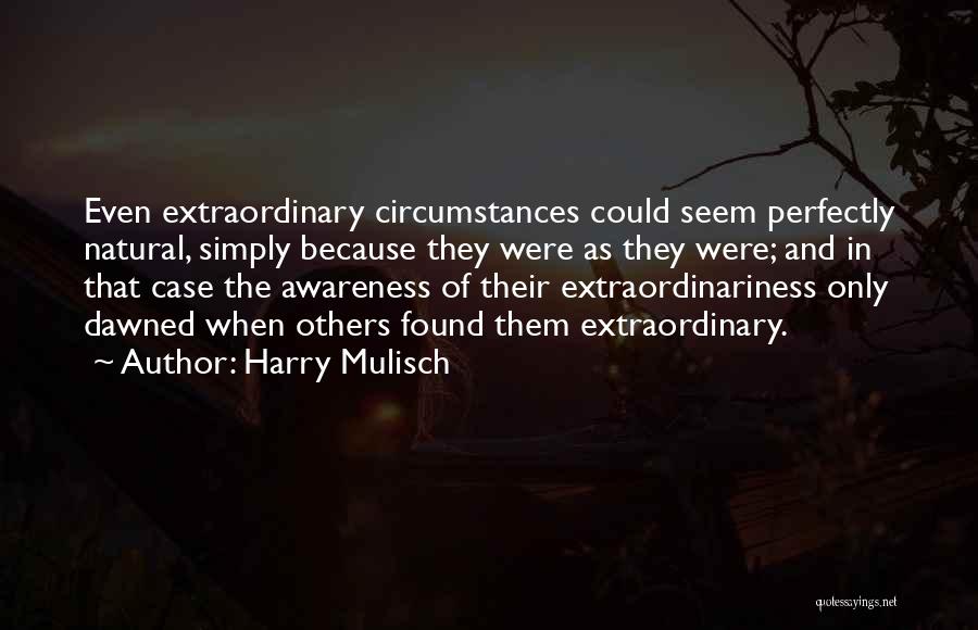 Harry Mulisch Quotes 333452