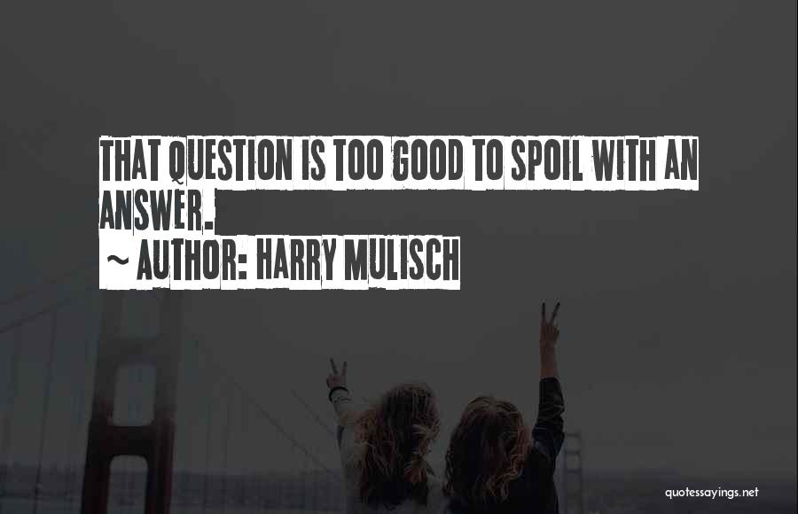 Harry Mulisch Quotes 798822