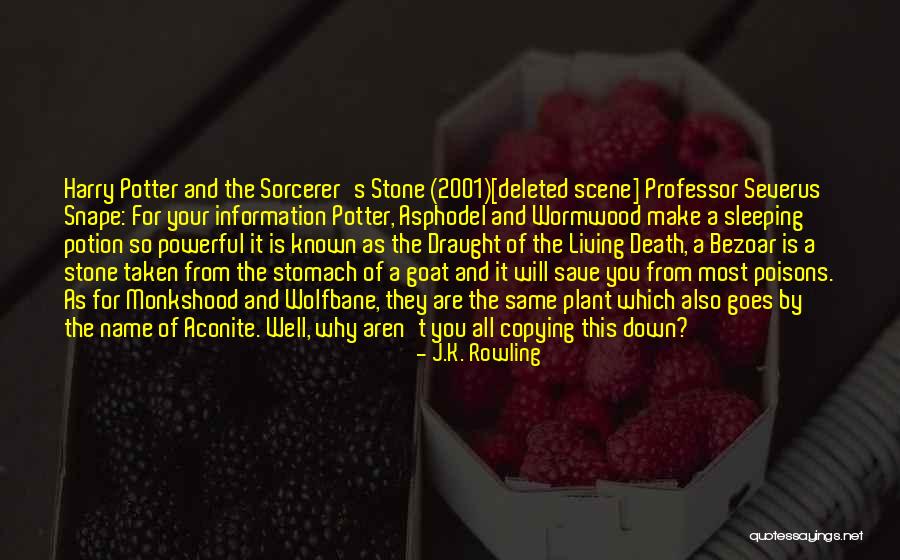 Harry Potter And The Sorcerer Stone Quotes By J.K. Rowling Harry Potter And The Sorcerer Stone Quotes By J.K. Rowling
