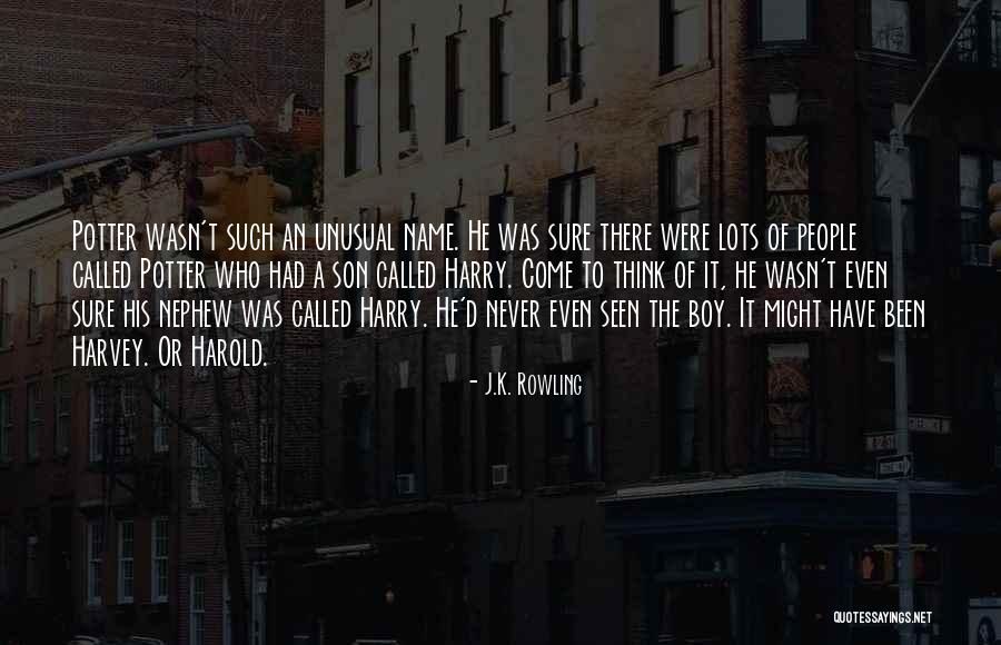 Harry Potter Hogwarts Quotes By J.K. Rowling Harry Potter Hogwarts Quotes By J.K. Rowling