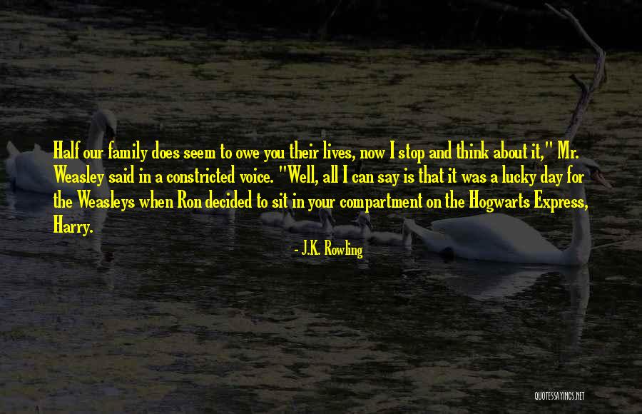 Harry Potter Hogwarts Quotes By J.K. Rowling Harry Potter Hogwarts Quotes By J.K. Rowling