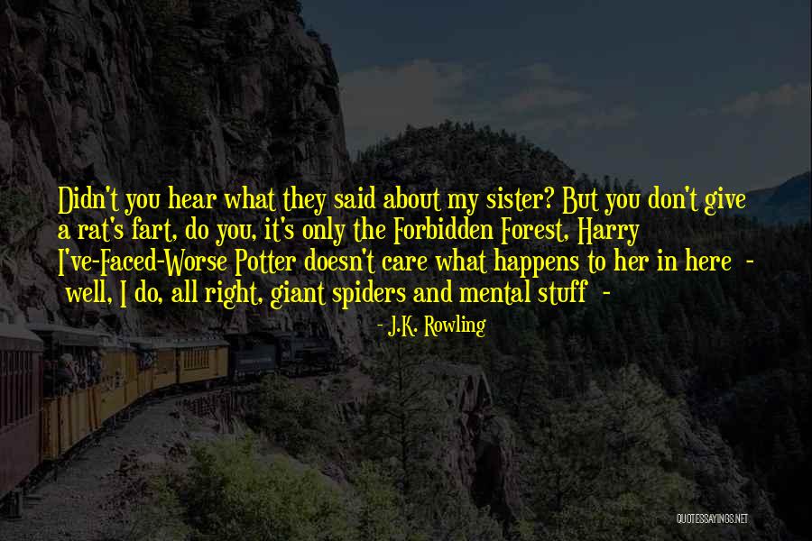 Harry Potter Sister Quotes By J.K. Rowling Harry Potter Sister Quotes By J.K. Rowling