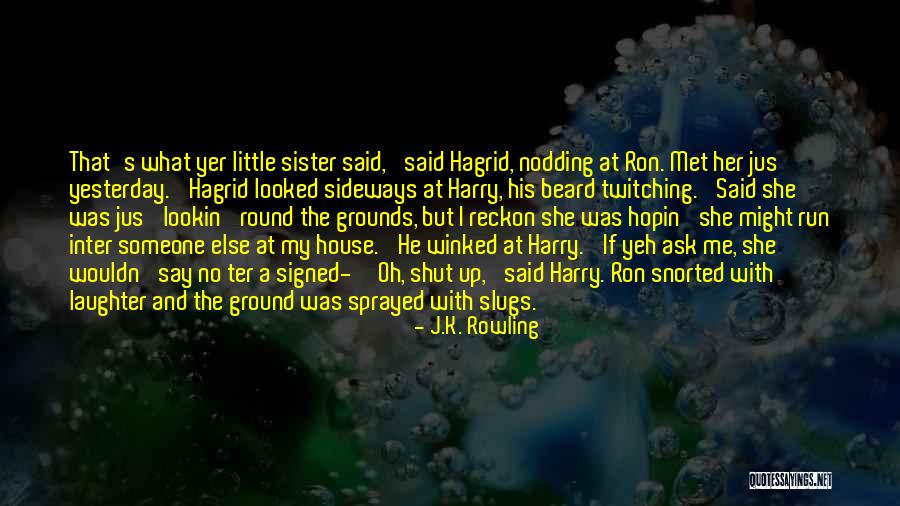 Harry Potter Sister Quotes By J.K. Rowling Harry Potter Sister Quotes By J.K. Rowling