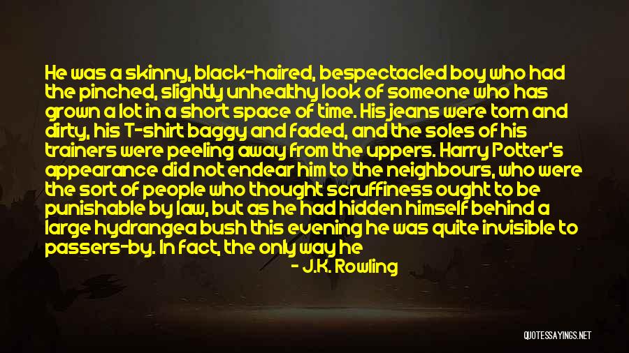 Harry Potter's Appearance Quotes By J.K. Rowling Harry Potter's Appearance Quotes By J.K. Rowling