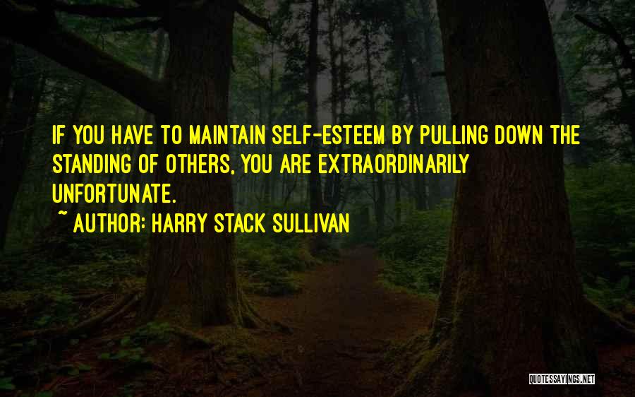 Harry Stack Sullivan Quotes 1752561