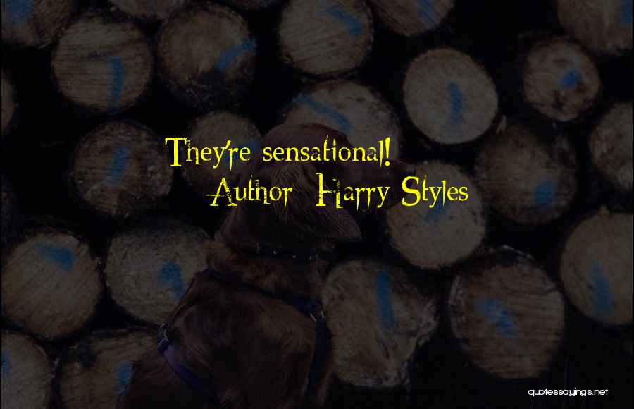 Harry Styles Quotes 1807000