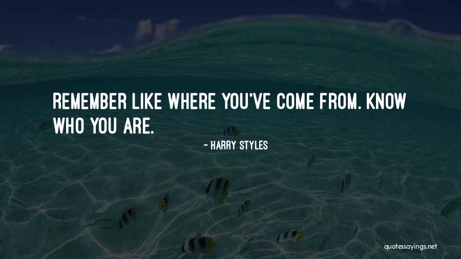 Harry Styles Quotes 2039251