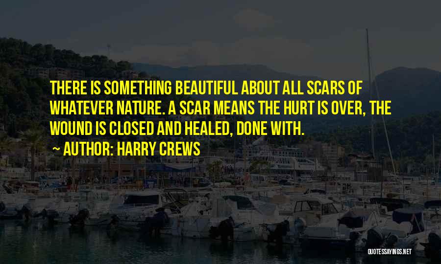 Harry's Scar Quotes By Harry Crews