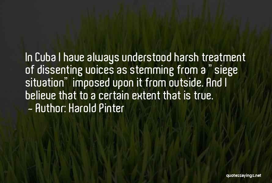 Harsh But True Quotes By Harold Pinter