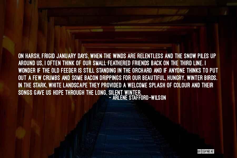 Harsh Life Quotes By Arlene Stafford-Wilson Harsh Life Quotes By Arlene Stafford-Wilson