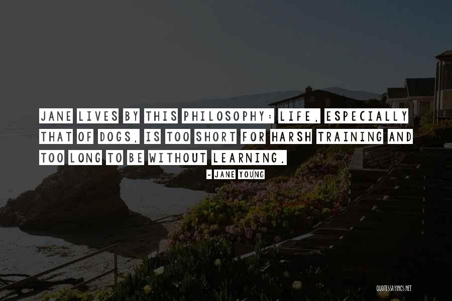 Harsh Life Quotes By Jane Young Harsh Life Quotes By Jane Young