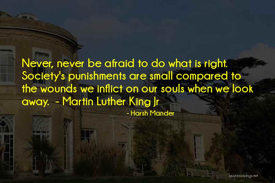 Harsh Mander Quotes 152568