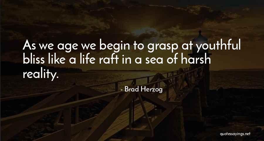 Harsh Reality Quotes By Brad Herzog Harsh Reality Quotes By Brad Herzog