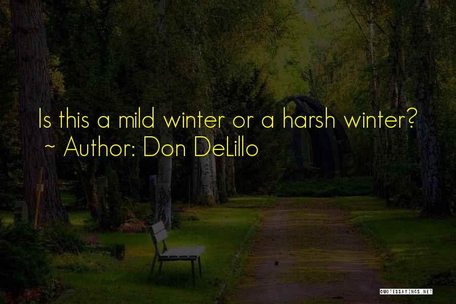 Harsh Winter Quotes By Don DeLillo