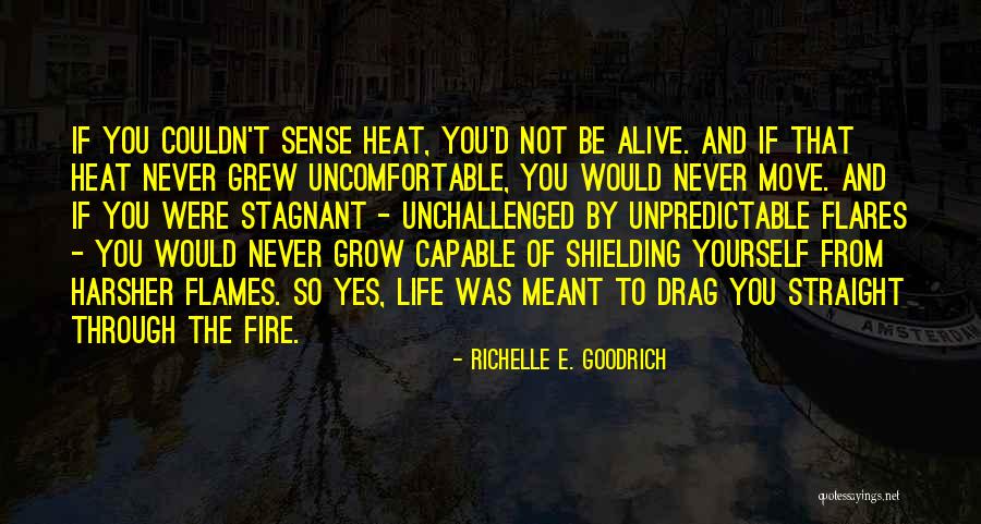 Harsher Quotes By Richelle E. Goodrich Harsher Quotes By Richelle E. Goodrich