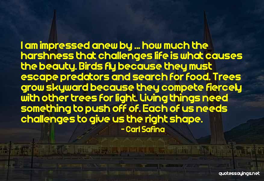 Harshness Of Life Quotes By Carl Safina Harshness Of Life Quotes By Carl Safina