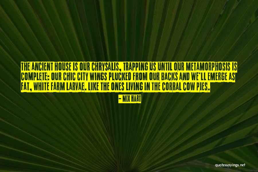 Hart Quotes By Mix Hart Hart Quotes By Mix Hart