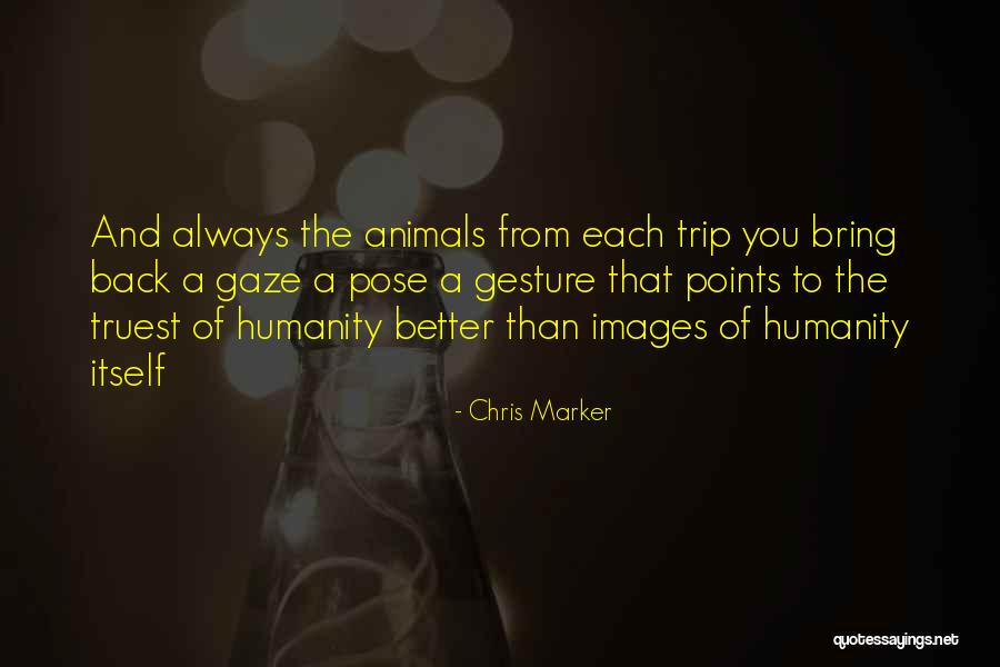 Hartell Condensate Quotes By Chris Marker Hartell Condensate Quotes By Chris Marker