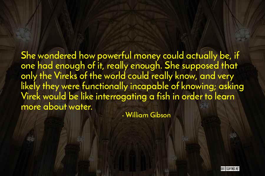 Hartkatheterisatie Quotes By William Gibson