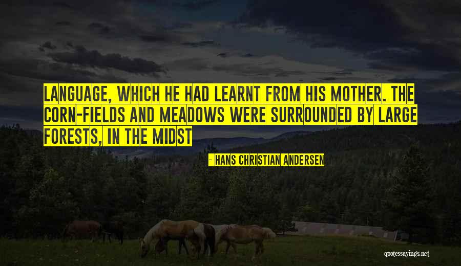 Haruhisa Handa Quotes By Hans Christian Andersen Haruhisa Handa Quotes By Hans Christian Andersen