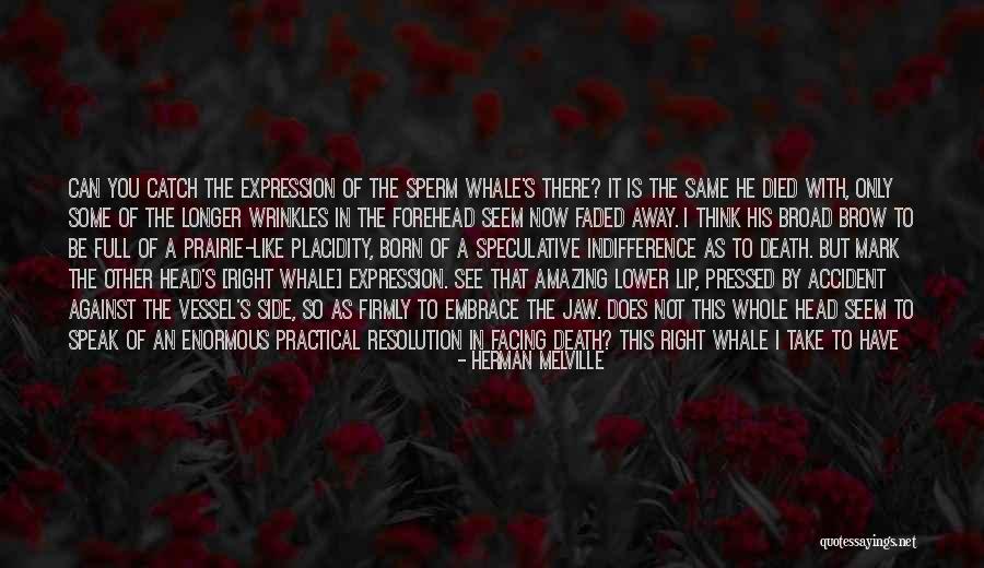 Harumph Harumph Quotes By Herman Melville Harumph Harumph Quotes By Herman Melville