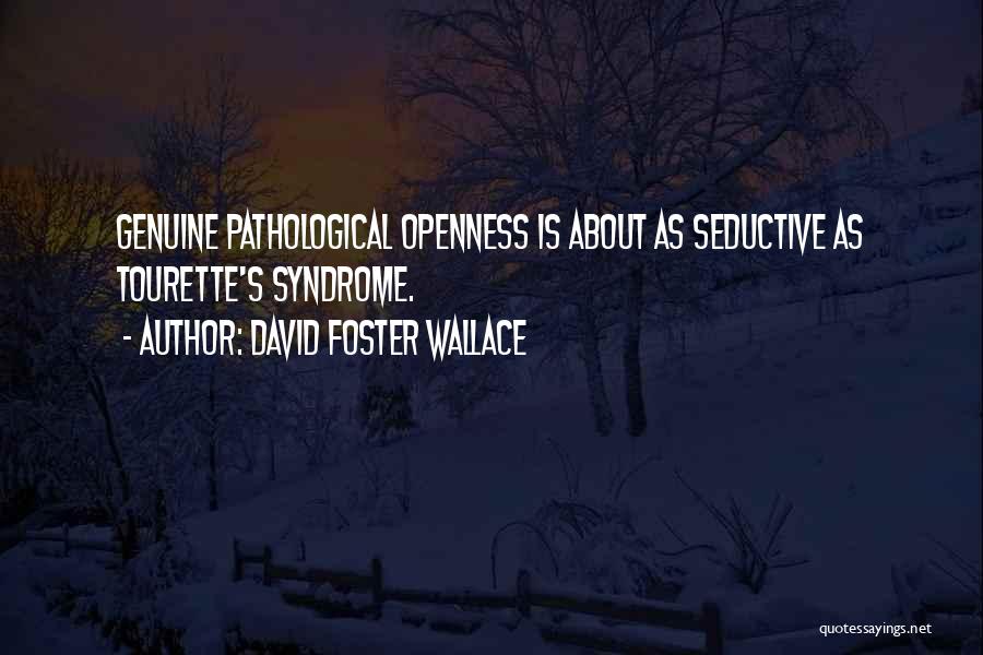 Haruo Sotozaki Quotes By David Foster Wallace