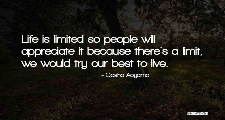 Haruspex Quotes By Gosho Aoyama Haruspex Quotes By Gosho Aoyama