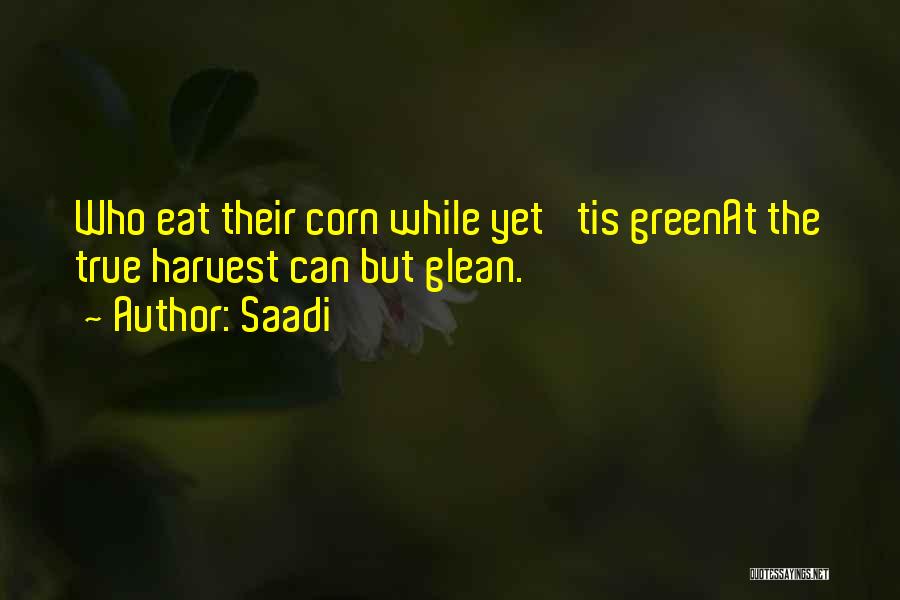 Harvest Corn Quotes By Saadi