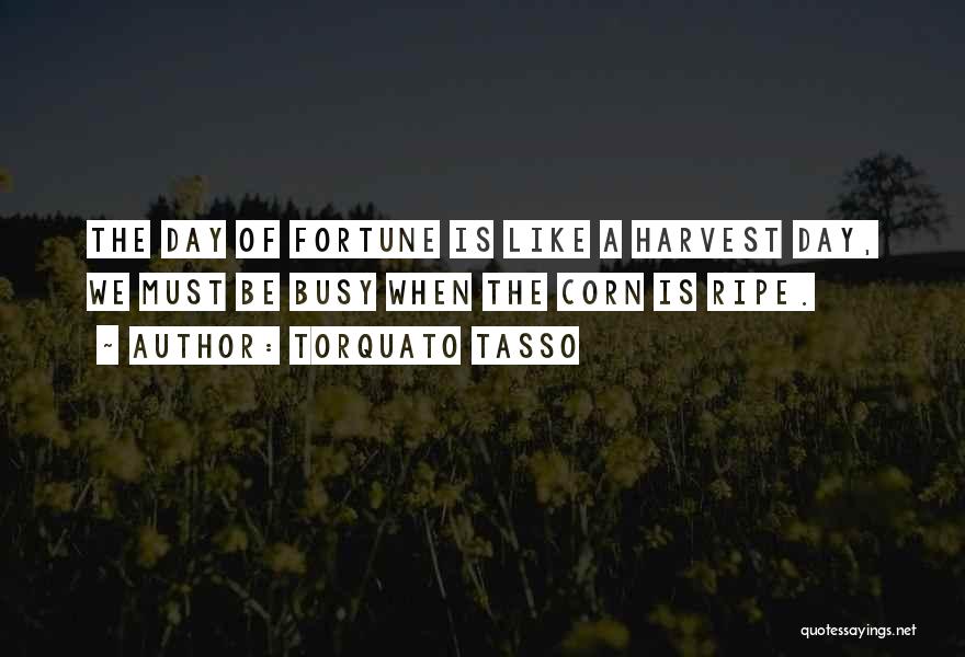 Harvest Corn Quotes By Torquato Tasso