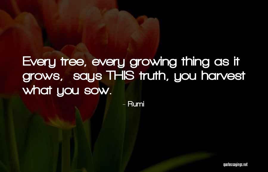 Harvest Quotes By Rumi