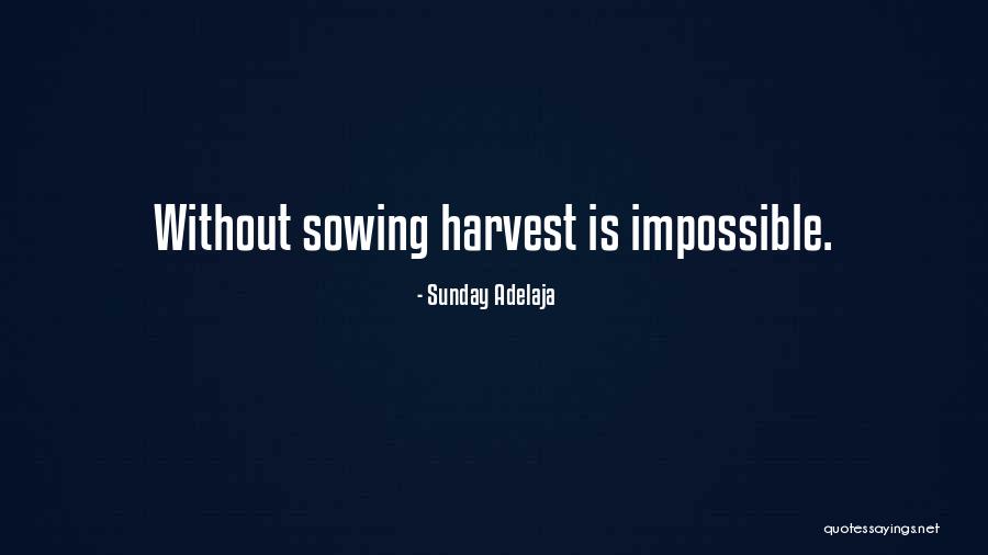 Harvest Quotes By Sunday Adelaja