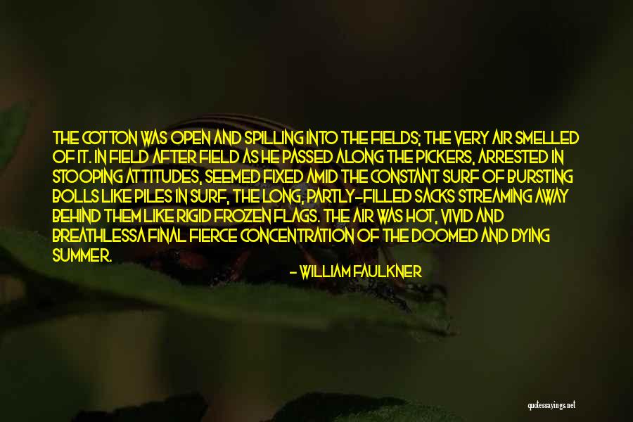 Harvest Quotes By William Faulkner