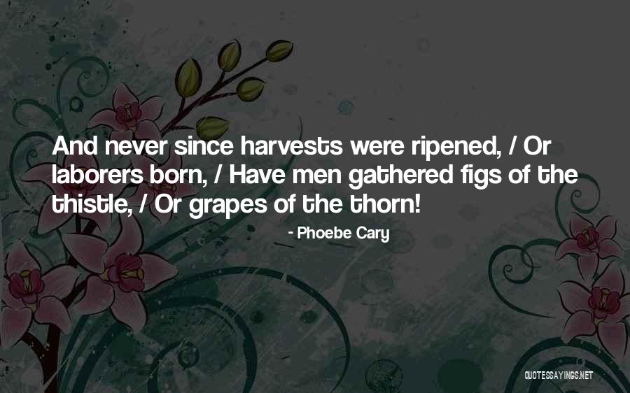 Harvest Were Quotes By Phoebe Cary Harvest Were Quotes By Phoebe Cary