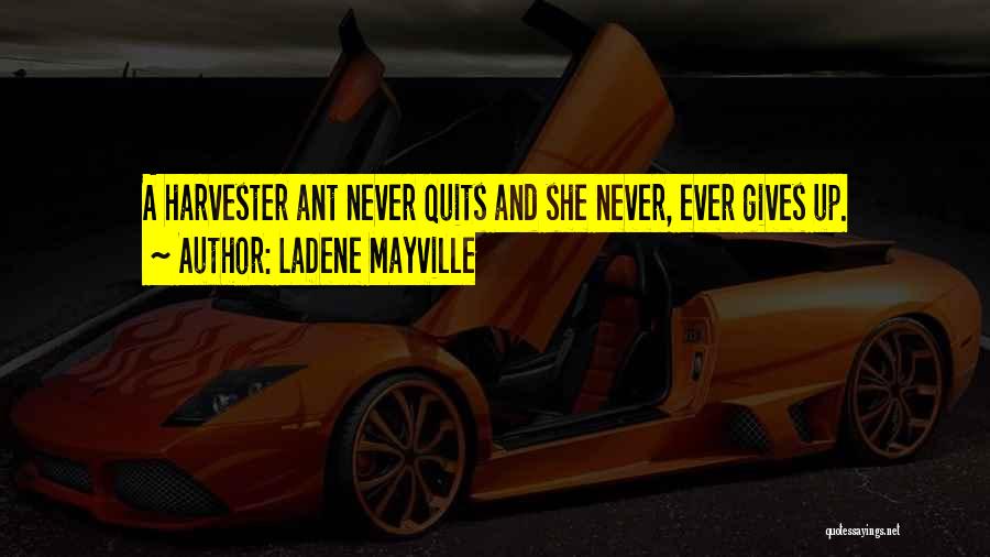 Harvester Quotes By LaDene Mayville