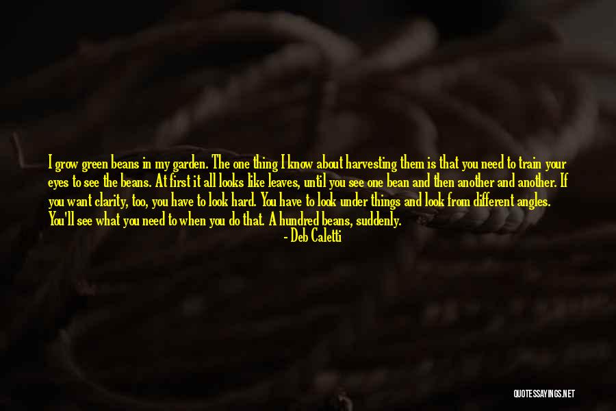 Harvesting Quotes By Deb Caletti