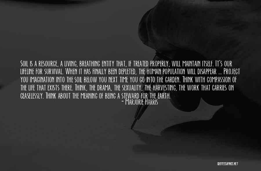 Harvesting Quotes By Marjorie Harris