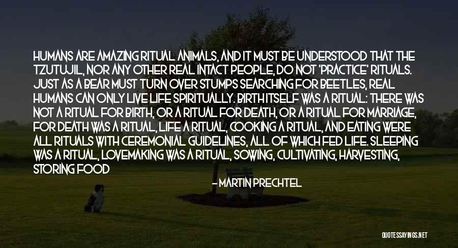 Harvesting Quotes By Martin Prechtel
